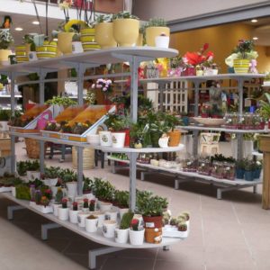 marketi-29